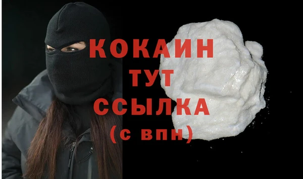 гашик Володарск