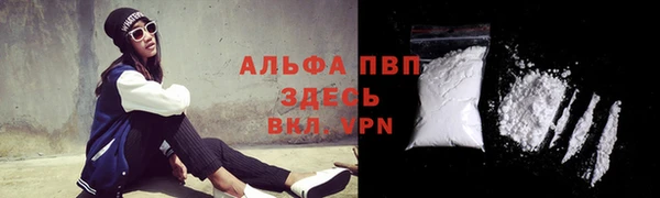 гашик Володарск