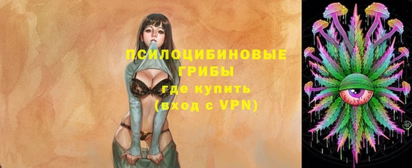 гашик Володарск